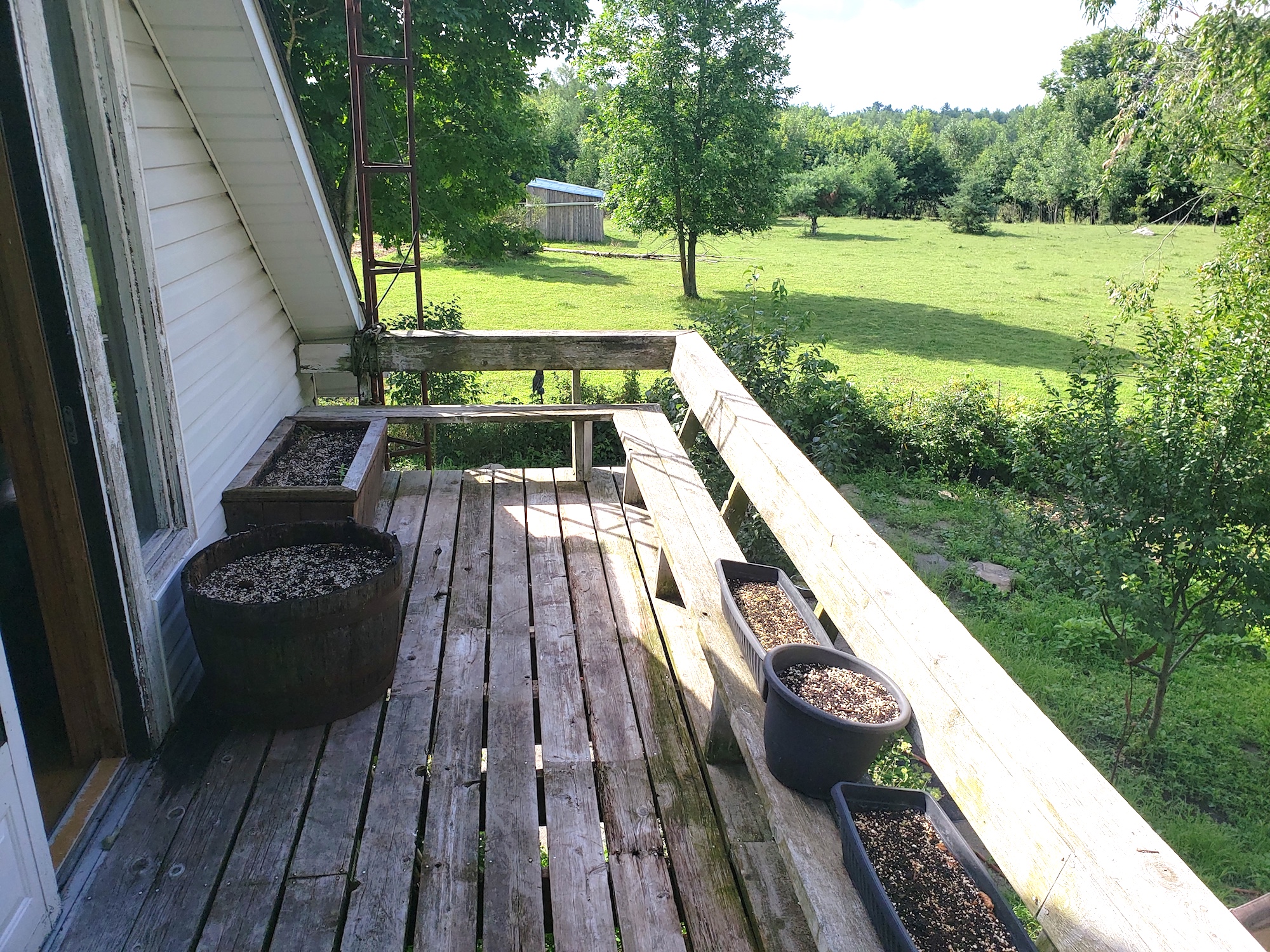   20200723_102451.jpg